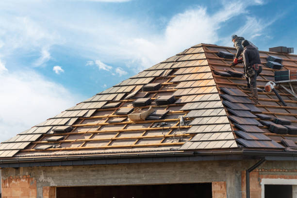 Best Roof Moss and Algae Removal  in Pelican Rapids, MN