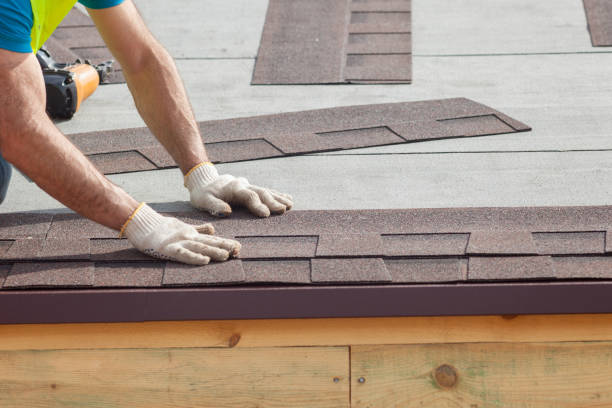 Best Steel Roofing  in Pelican Rapids, MN